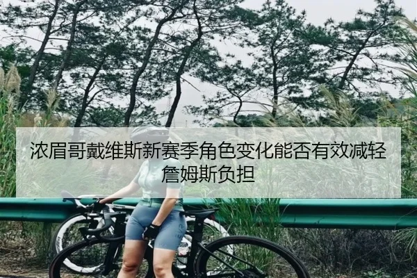 浓眉哥戴维斯新赛季角色变化能否有效减轻詹姆斯负担
